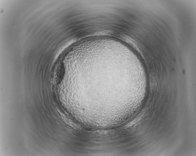 X0000070230827200606161730