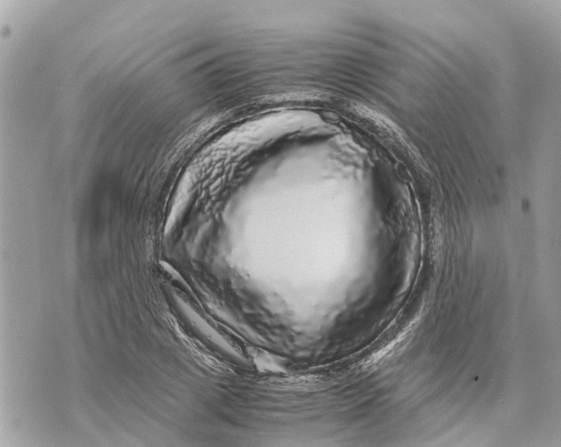 X0000070230833200606161730