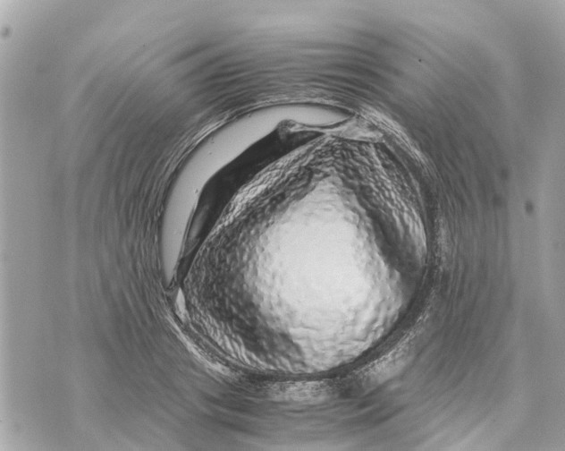 X0000070230841200606161731