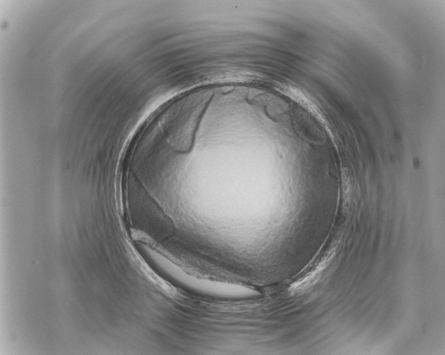 X0000070230843200606161731
