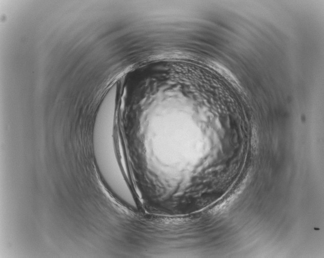 X0000070230849200606161731