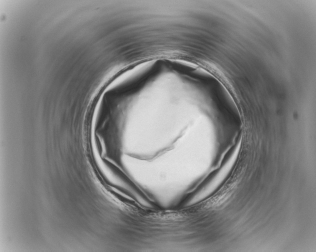 X0000070230851200606161731