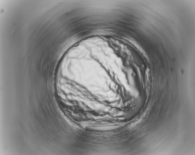 X0000070230853200606161731