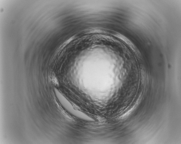 X0000070230857200606161731