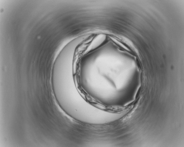 X0000070230863200606161731