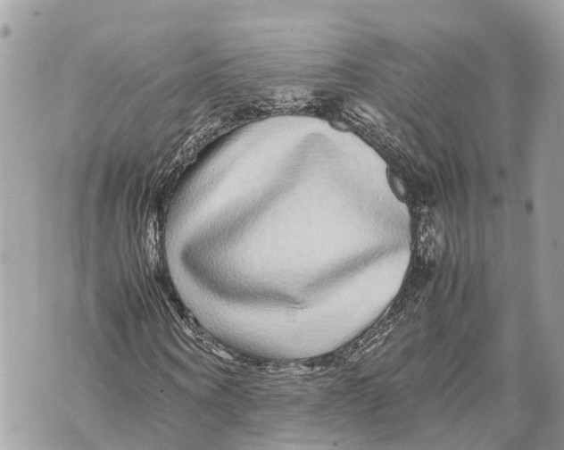 X0000070230866200606161730