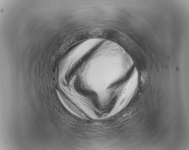 X0000070230867200606161730