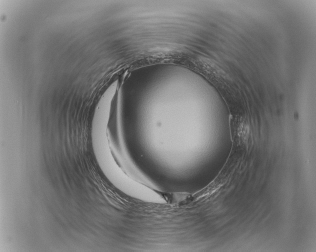 X0000070230868200606161730