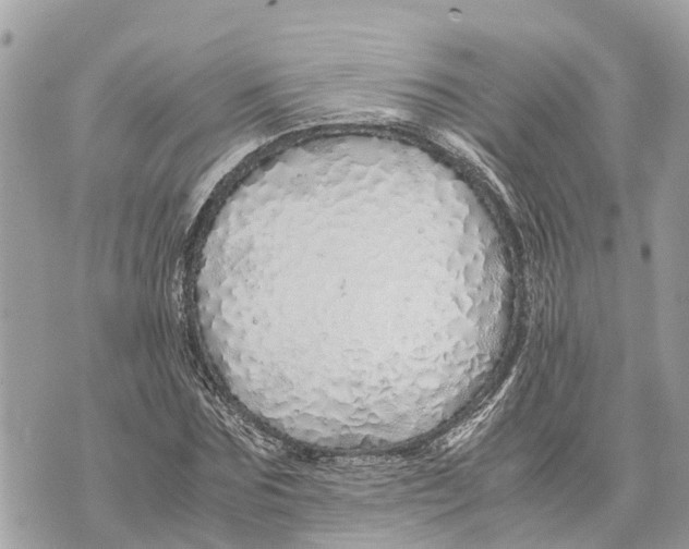X0000070230875200606161730