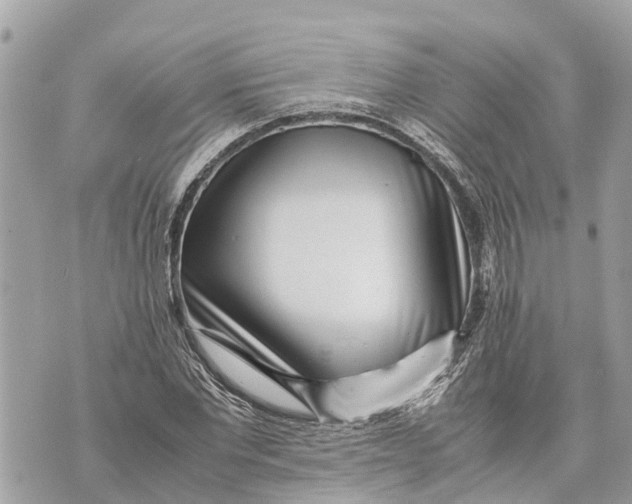 X0000070230877200606161730