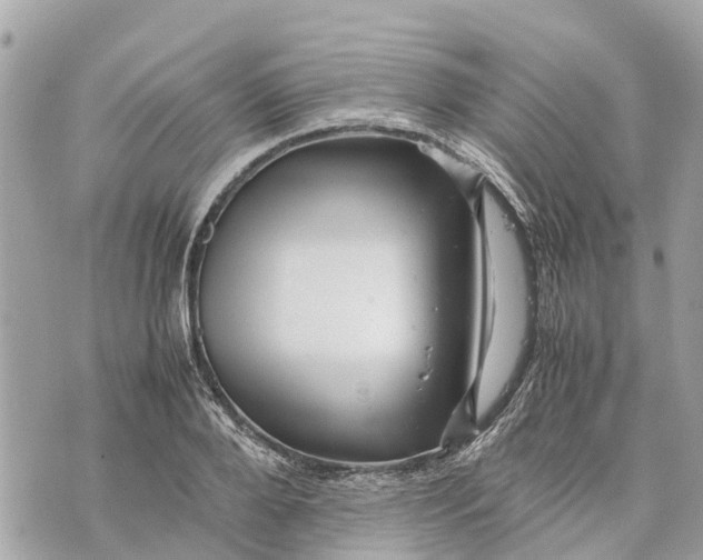 X0000070230888200606161730