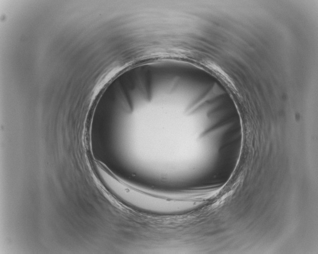 X0000070230893200606161730