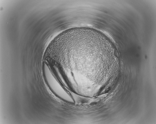 X0000070230895200606161730