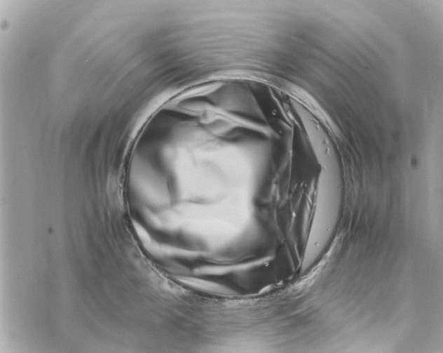 X0000070230908200606161729