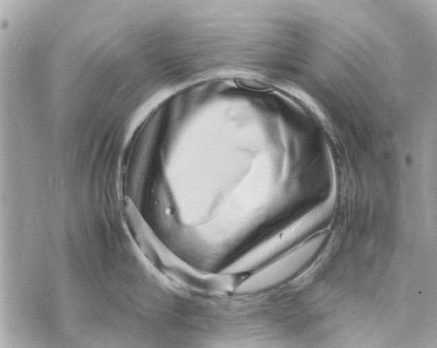 X0000070230910200606161729