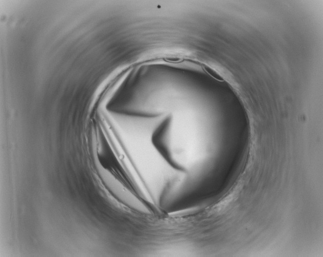 X0000070230912200606161729