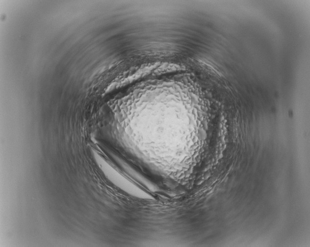 X0000070230917200606161729