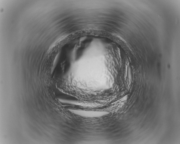 X0000070230919200606161729