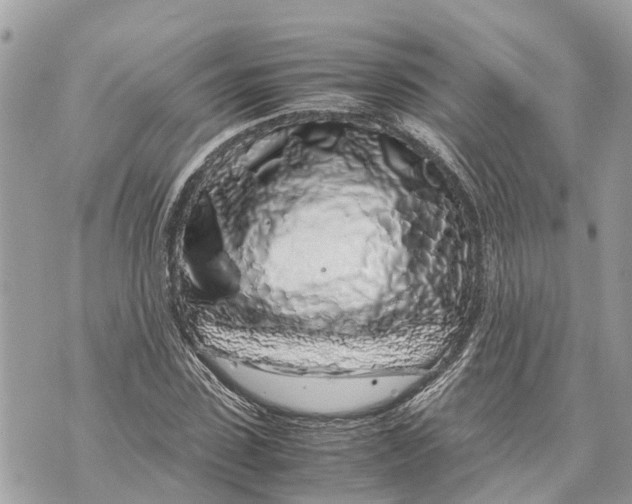 X0000070230923200606161729