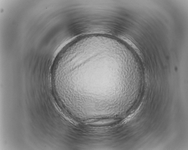 X0000070230933200606161729