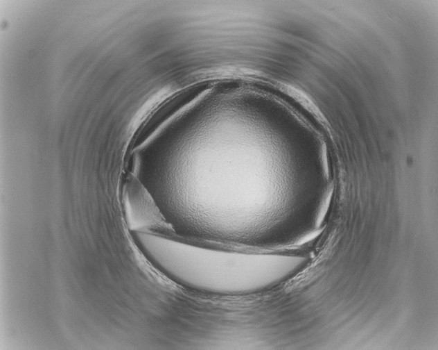 X0000070230946200606161729