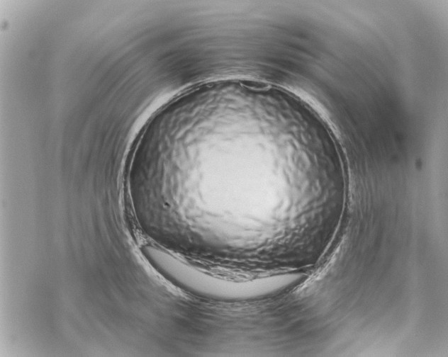 X0000070230949200606161729