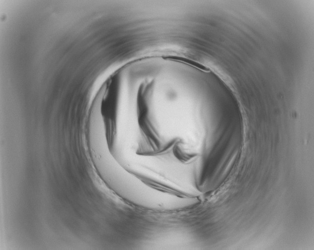 X0000070230960200606161729