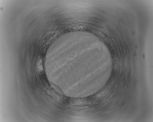 X0000070230962200606161729