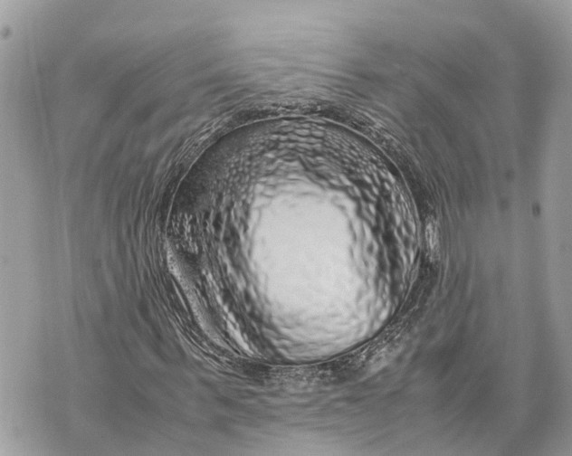 X0000070230963200606161729