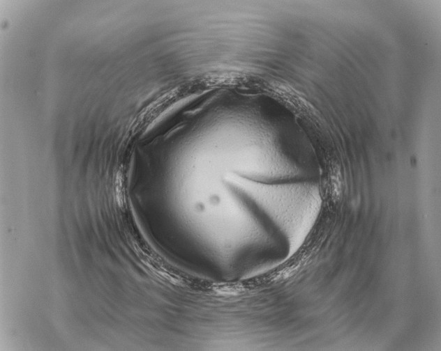 X0000070230964200606161729