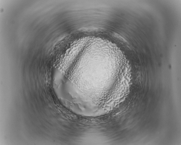 X0000070230966200606161728