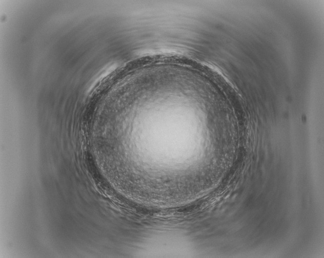 X0000070230967200606161728