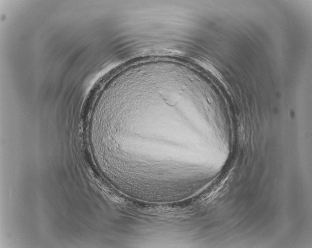 X0000070230971200606161728
