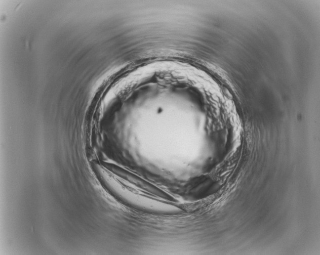 X0000070230987200606161728