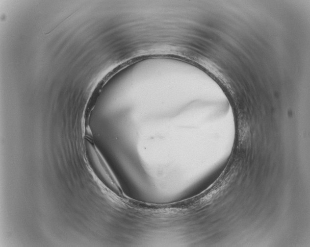 X0000070230988200606161728