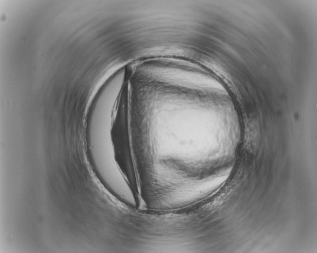 X0000070230992200606161728
