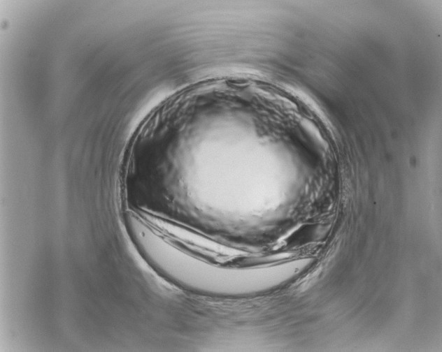 X0000070230999200606161728
