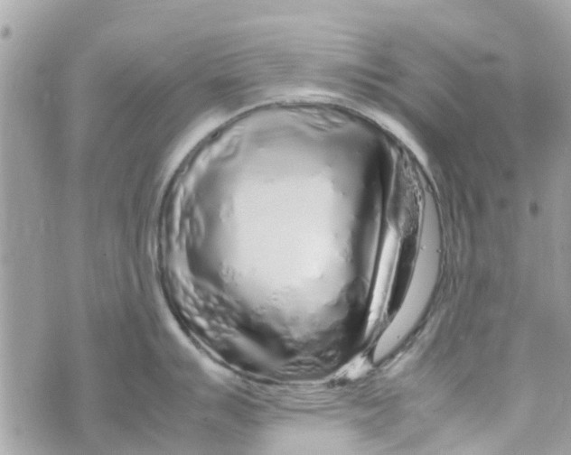 X0000070231007200606161728