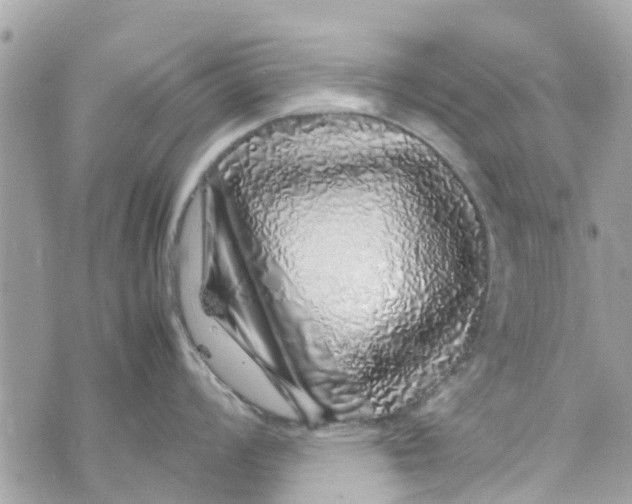 X0000070231008200606161728