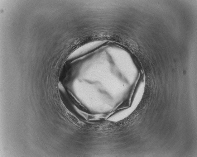 X0000070231009200606161727