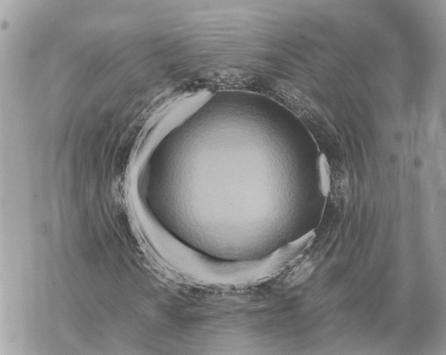 X0000070231010200606161727