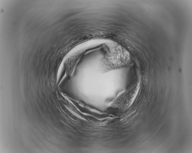 X0000070231011200606161727