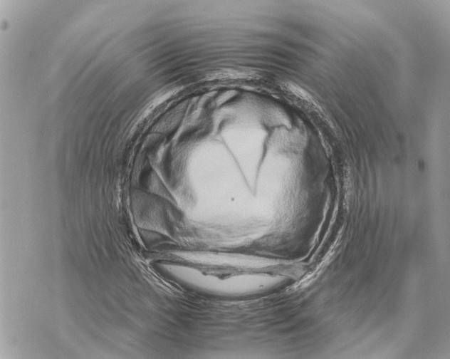 X0000070231017200606161727