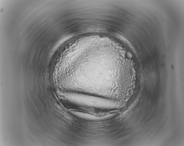 X0000070231019200606161727