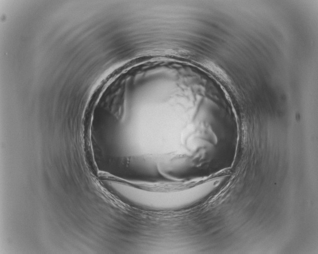 X0000070231020200606161727