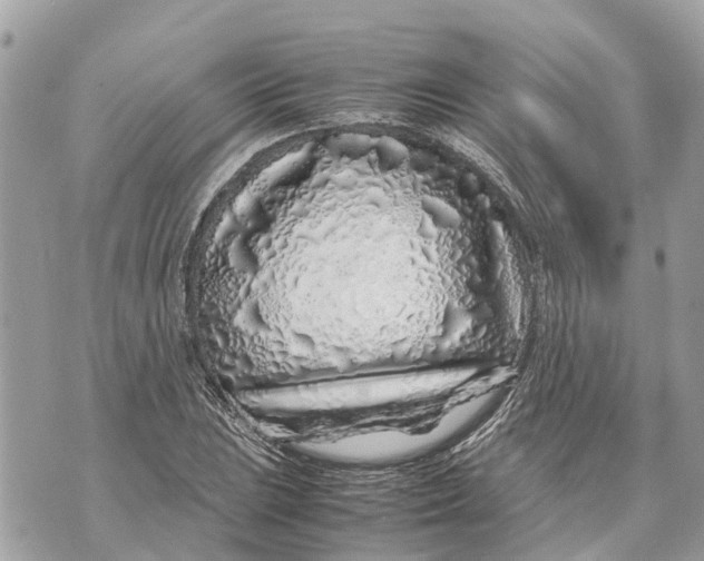 X0000070231023200606161727