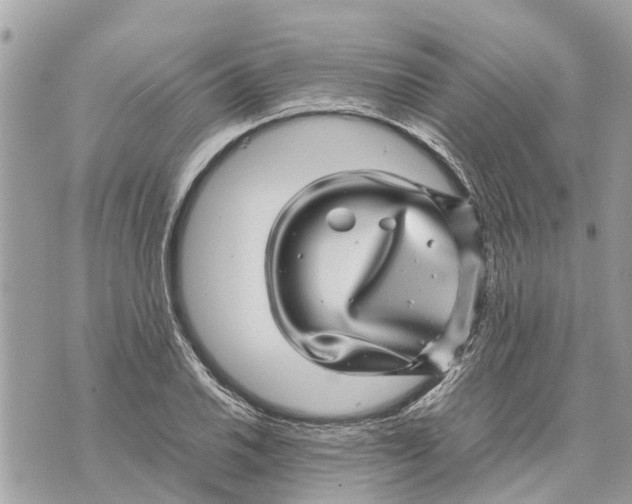X0000070231030200606161727