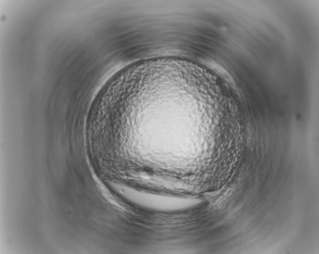 X0000070231039200606161728