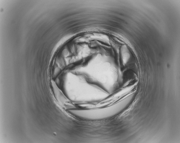 X0000070231045200606161728