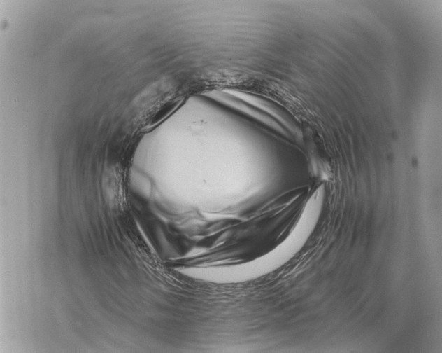 X0000070231058200606161727